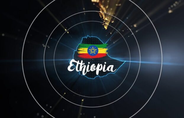 Web-Based ERP Technology Progress in Ethiopia