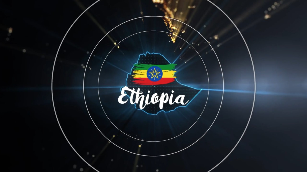 Web-Based ERP Technology Progress in Ethiopia